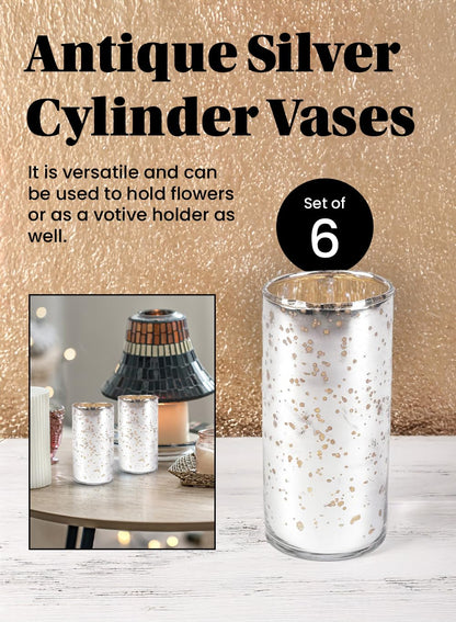 Set of 6 Antique Silver Mercury Glass Cylinder Vases