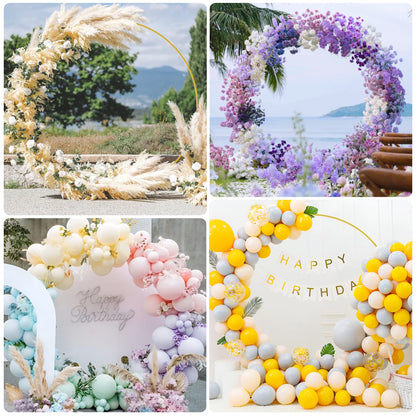 Round Metal Balloon Arch and Backdrop Stand